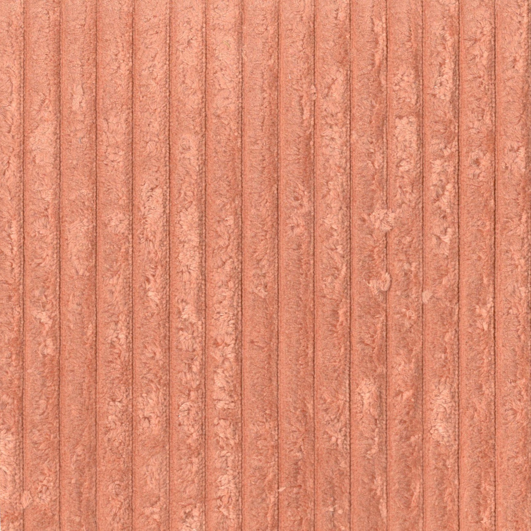 montana apricot 