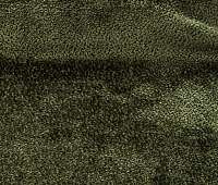 aphrodite 12
