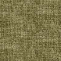 Cremona_38-750e5